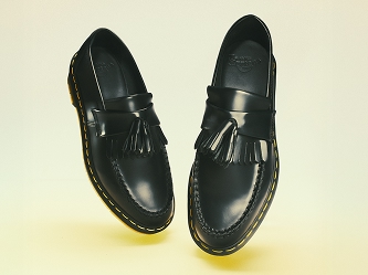 Shoe-333x249.jpg